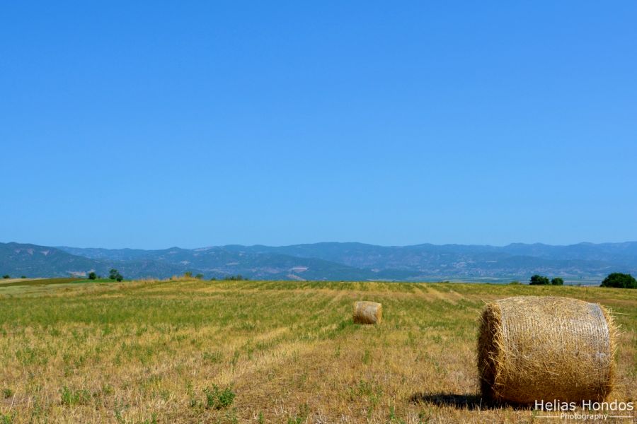 In the field